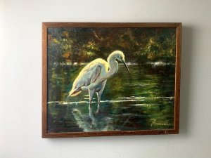 snowy egret 