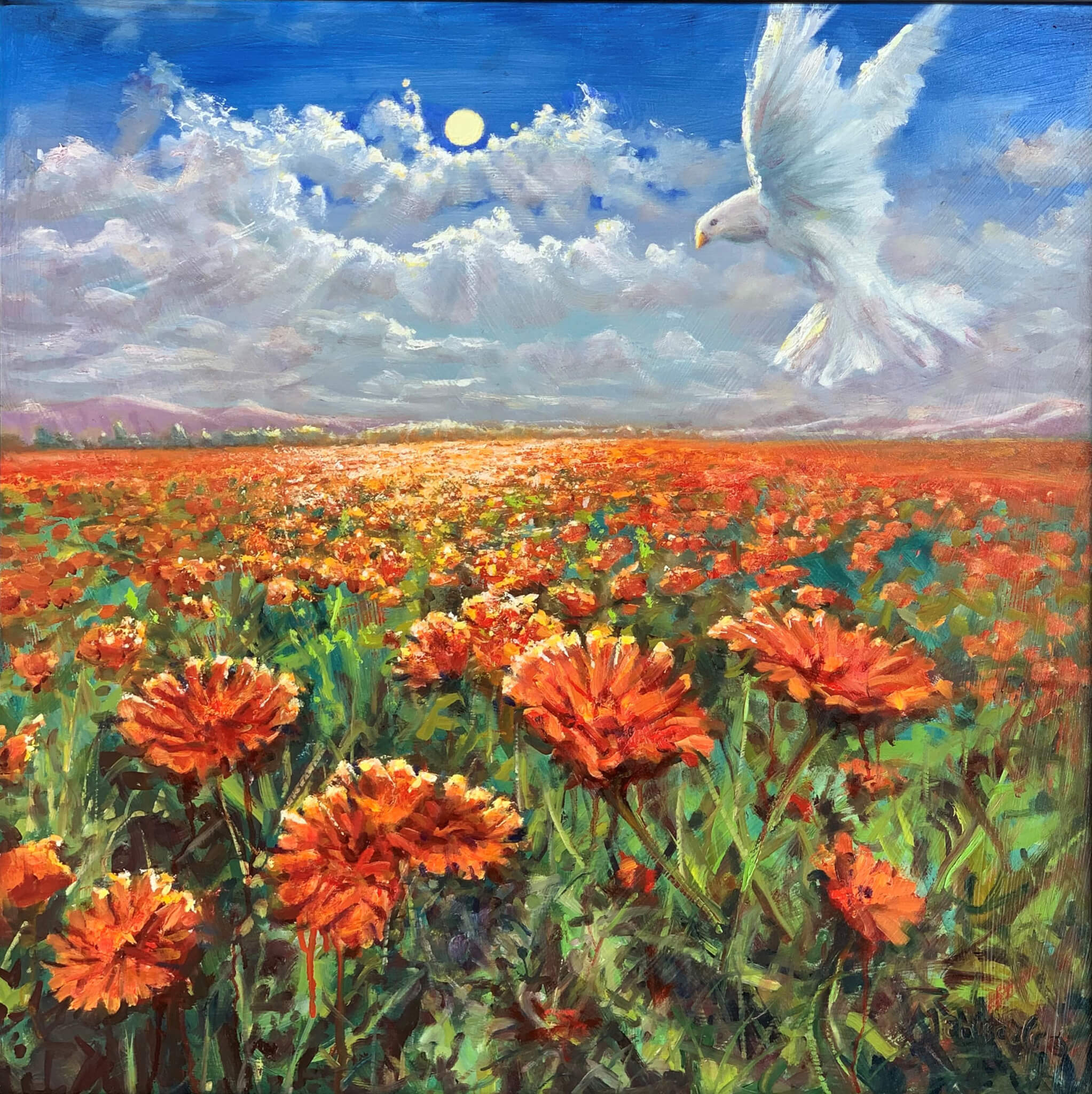 dove above