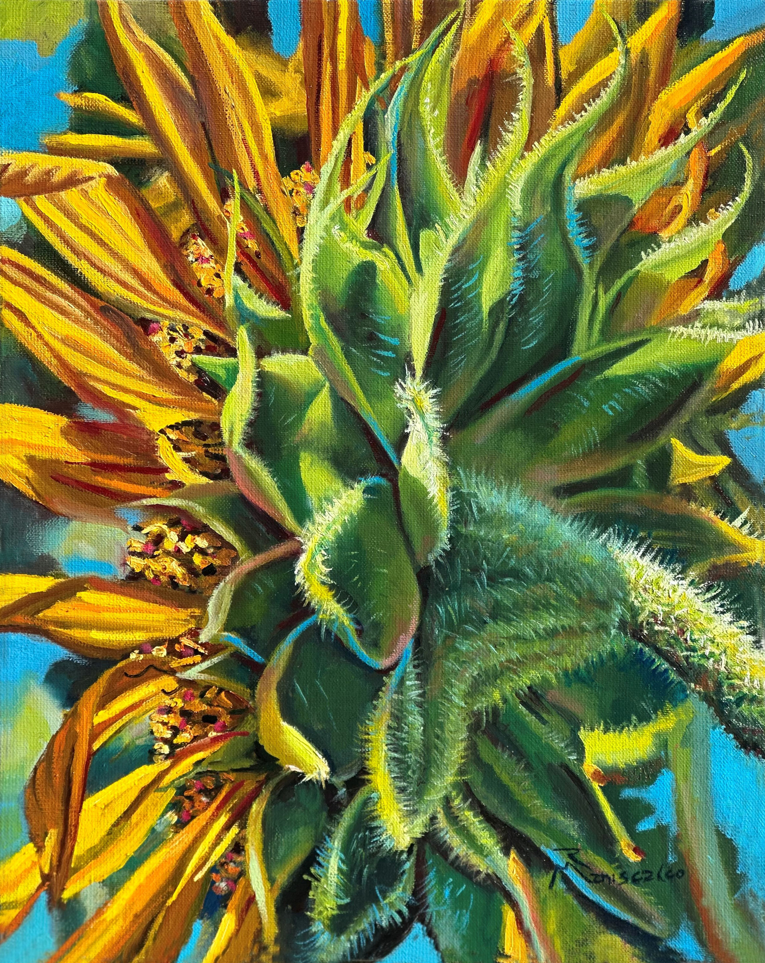 Behind the Scene Sunflower behind the scene sunflower